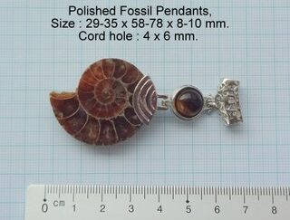 Fossil smykke til kæde.